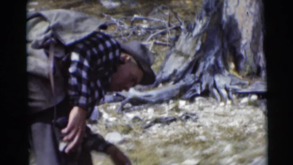 In 1953 Baraboo, Wisconsin footage, a man in flannel and a brimmed hat bends over rocky woodland ground near a large stump.
