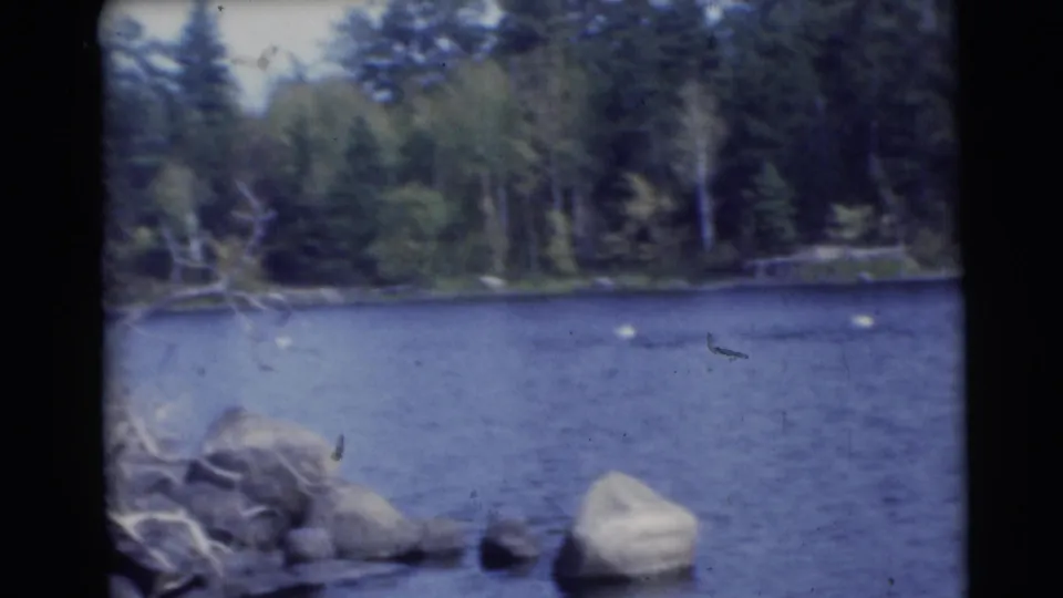 The 1953 Wisconsin home-movie view holds on lake water, shoreline stones, and a forested opposite bank.