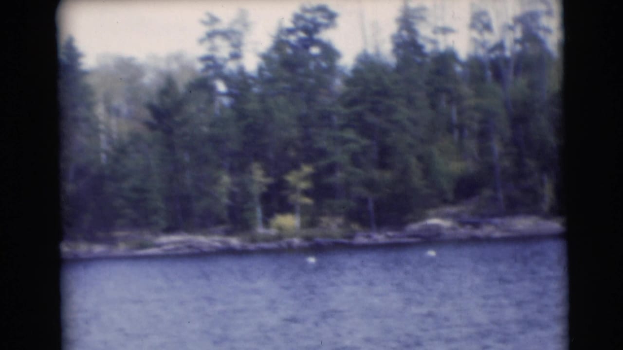 Forest-lined shore across blue water with rounded black film edges.