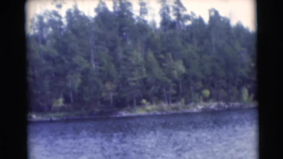 1953 Baraboo, Wisconsin 8mm view of a wooded lakeshore, with textured blue water and green trees filling the frame.