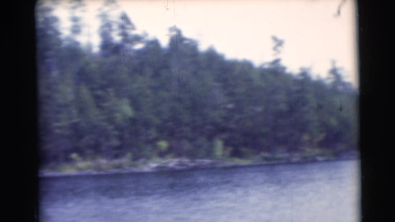 Wooded riverbank across calm water with evergreen trees in soft focus.