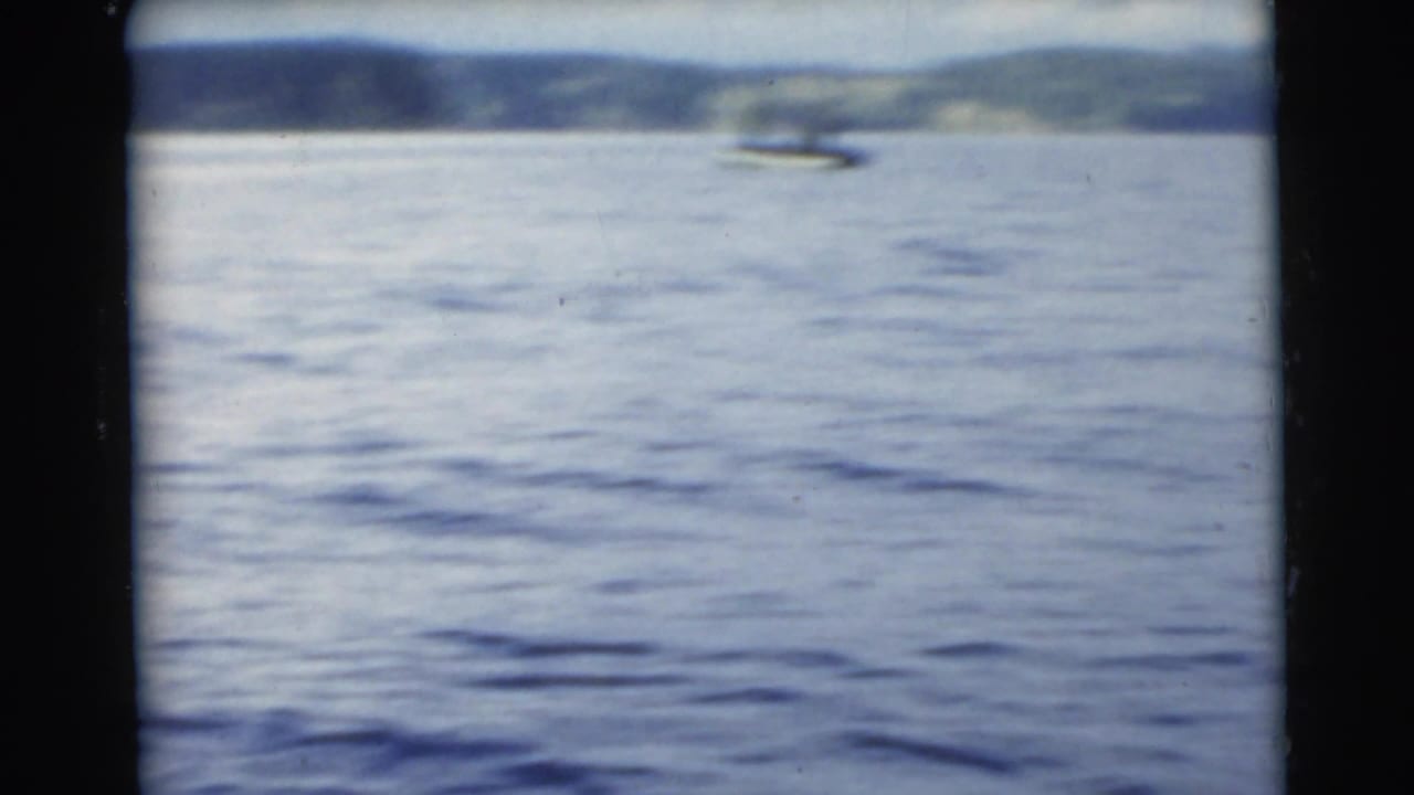 Open water with a distant small boat and tree-lined shore in soft focus.