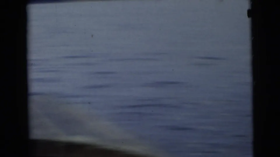 1956 Miami home-movie frame looking over calm blue lake water from a moving boat.