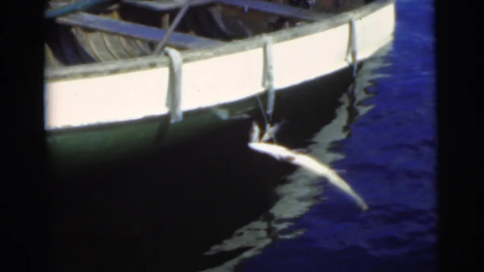 A fish hangs from the side of the small boat in the 1956 Miami fishing scene, with the hull and water filling the frame.