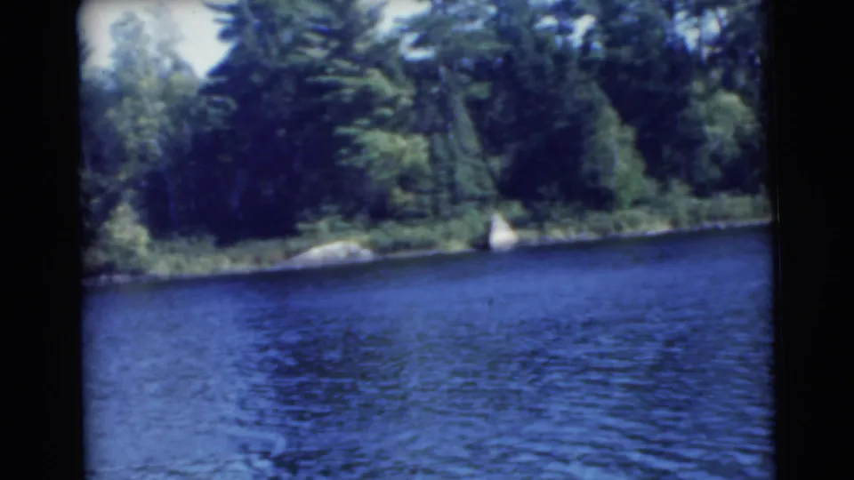 Wide 1956 Miami lake view with rippled water, dense trees, and a small bright object near the shoreline.