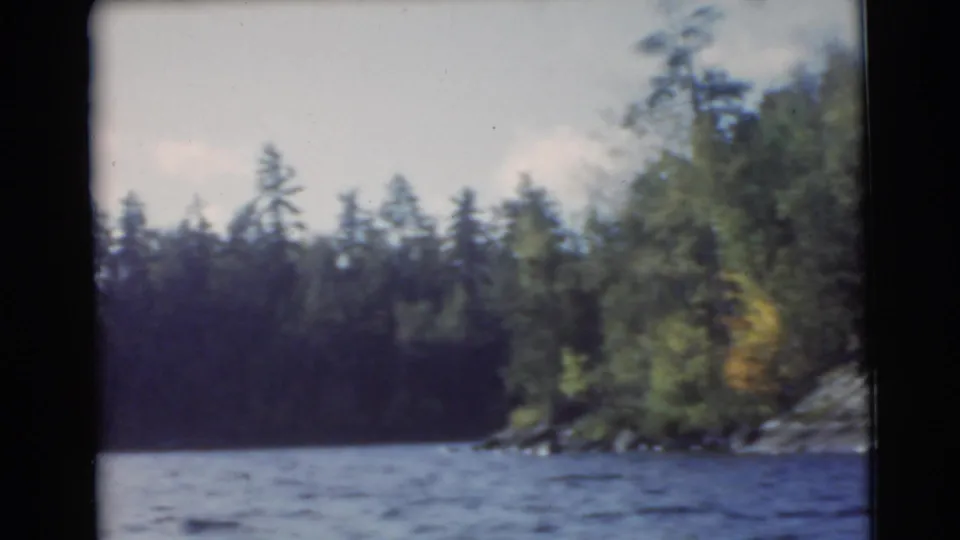 Soft 8mm frame of lake water and a wooded shoreline, with trees silhouetted against a pale sky in the 1956 clip.