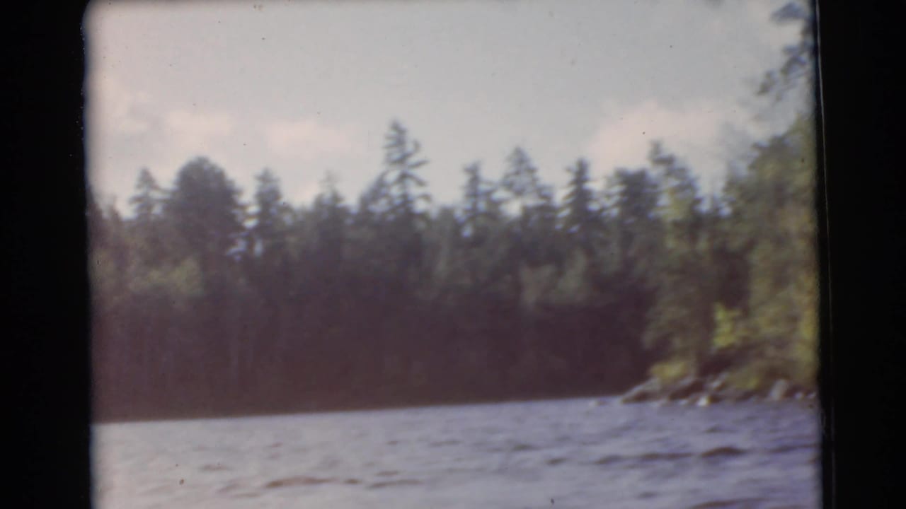 Rippled water with a dark evergreen shoreline under a pale sky.