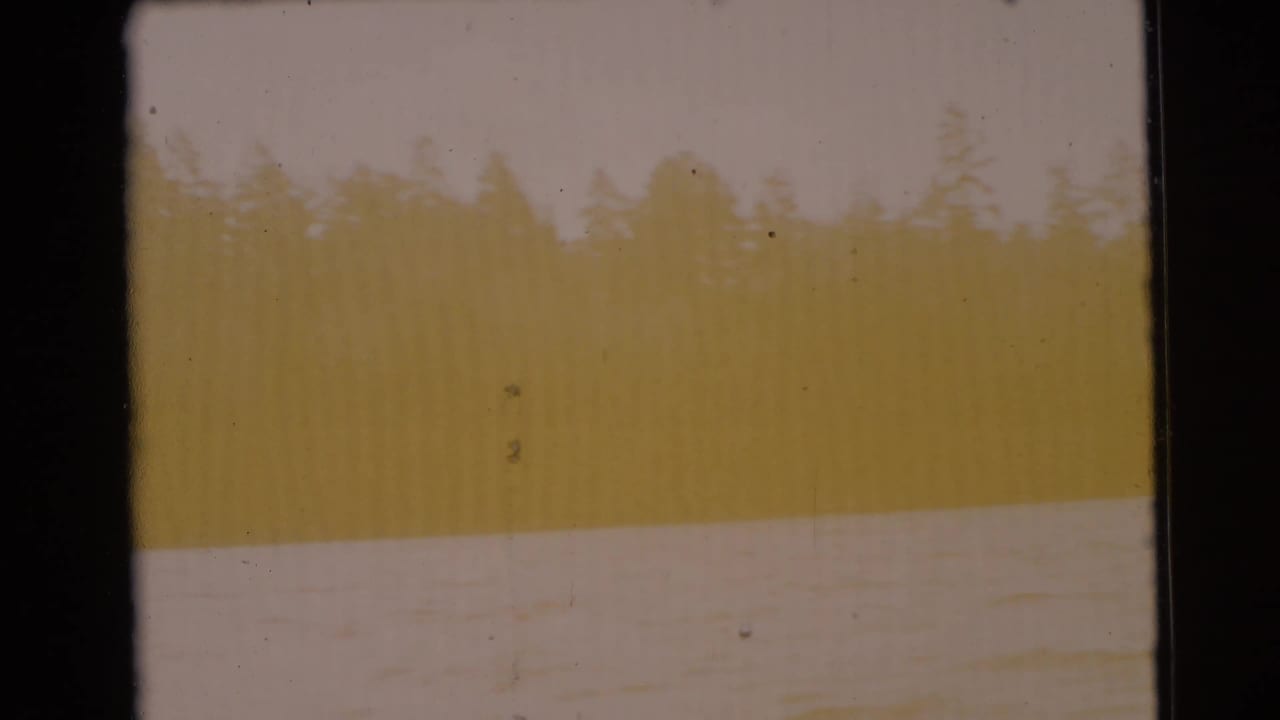 Yellow-tinted frame with faint trees above a pale band of water or sky reflection.