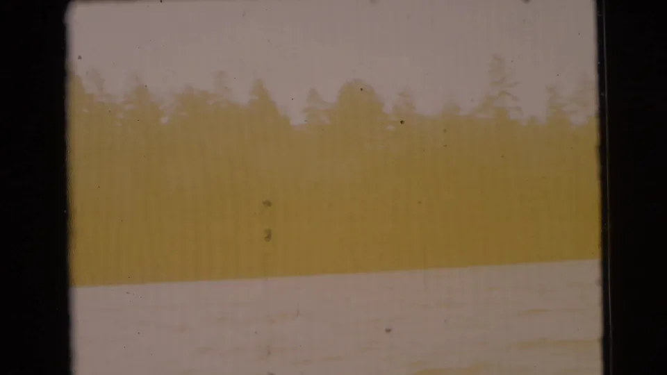 1956 8mm Florida frame with heavy yellow exposure wash, faint treeline, and a pale horizontal water band near the lower frame.