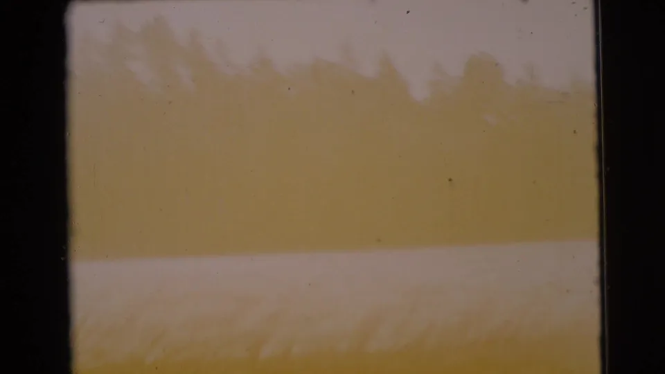 1956 8mm Florida home-movie frame where the wooded shoreline and water are mostly obscured by yellow color shift and film wear.