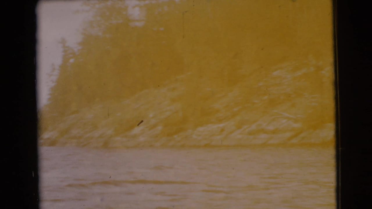 Faded shoreline view with water in front and trees above a rocky bank.