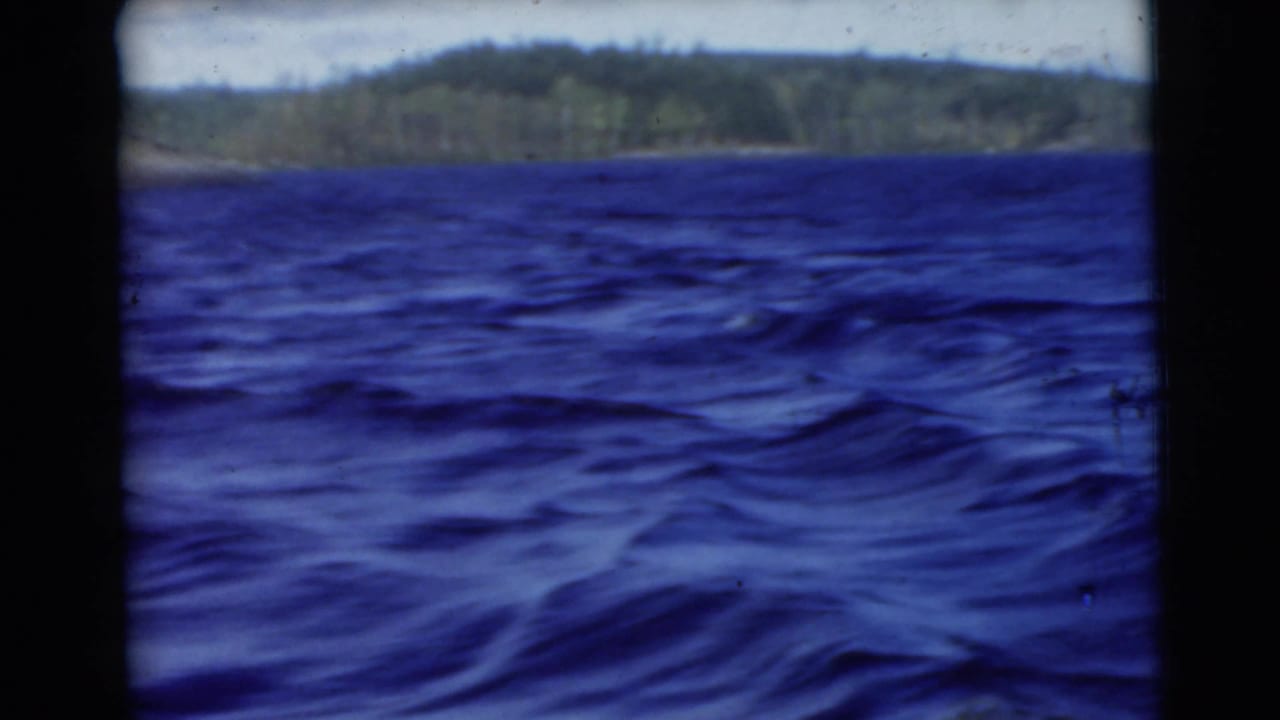 Rippling dark blue water with a distant tree-lined shoreline under a cloudy sky.