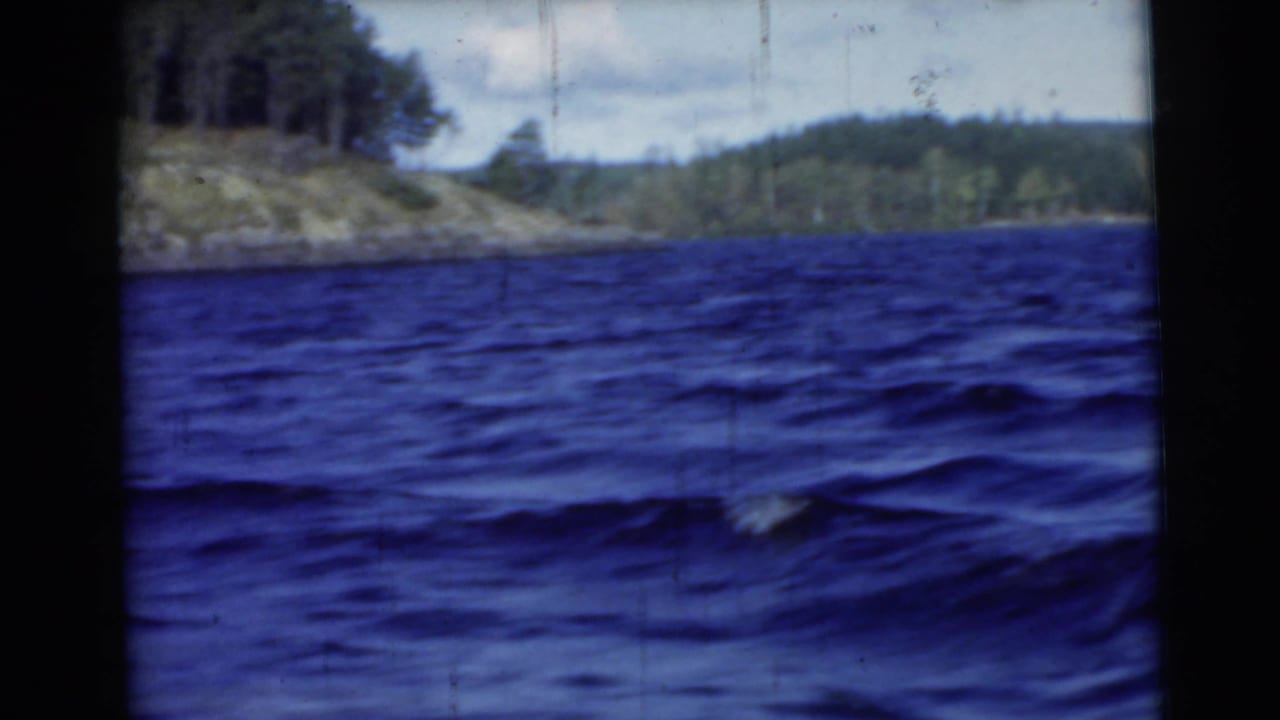 Choppy blue water beside a wooded rocky shoreline with cloudy sky above.