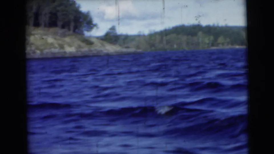 1956 8mm Miami footage showing choppy water and a low rocky, tree-lined shore from a handheld viewpoint.