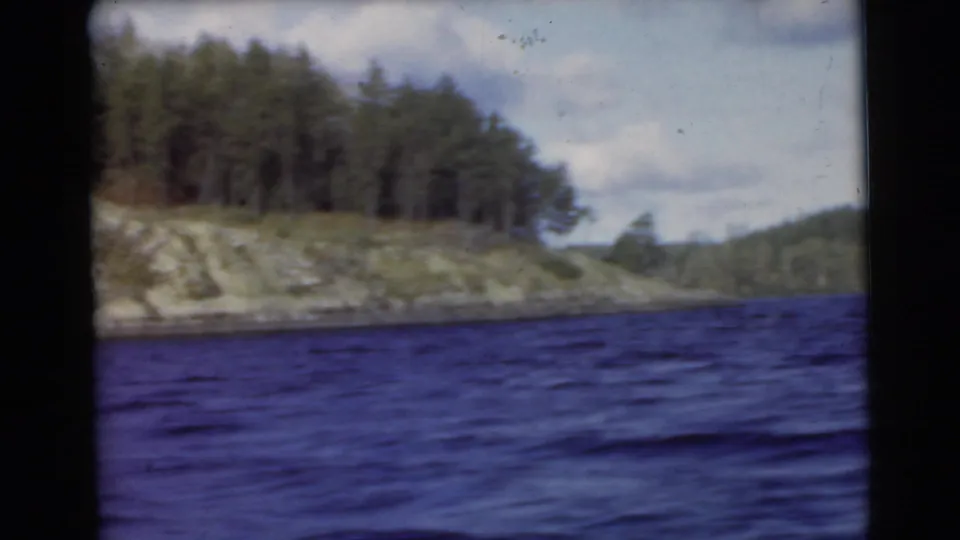 1956 8mm Miami home-movie view of a wooded bank and rippling water, framed with visible film edges.