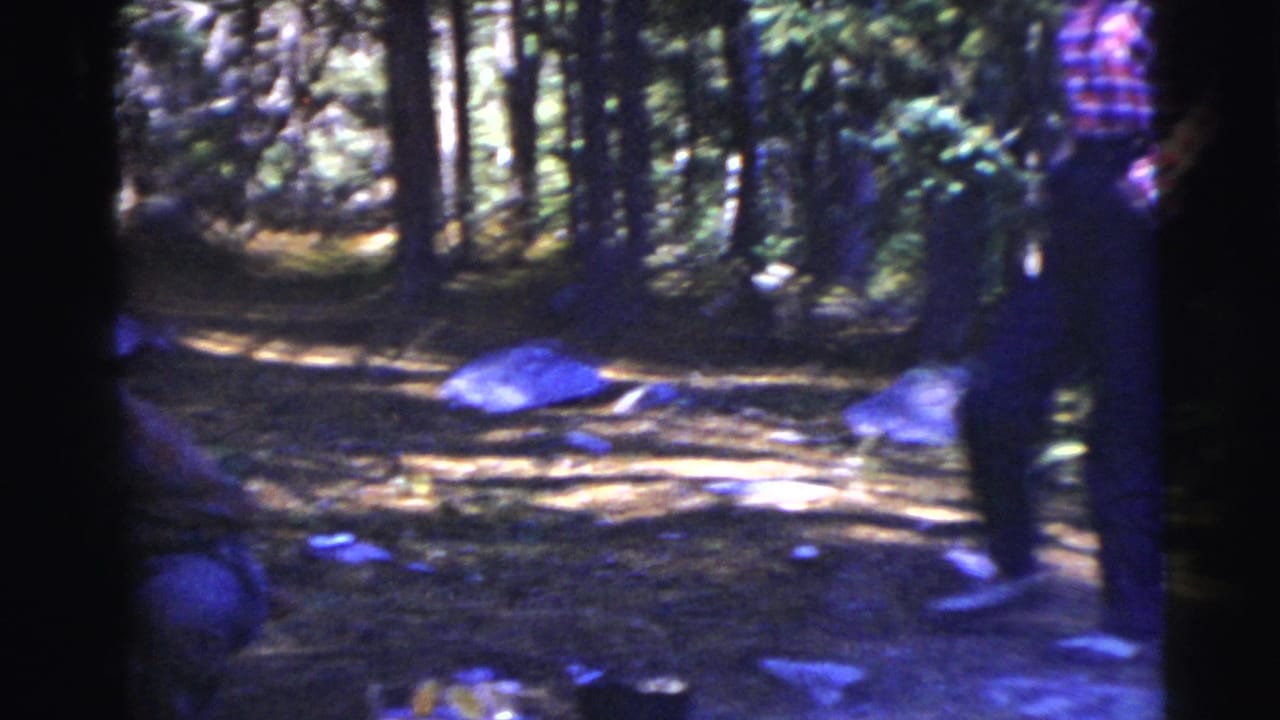 An adult in a checkered shirt and dark trousers appears in a wooded campsite, with rocks and scattered camp items visible.