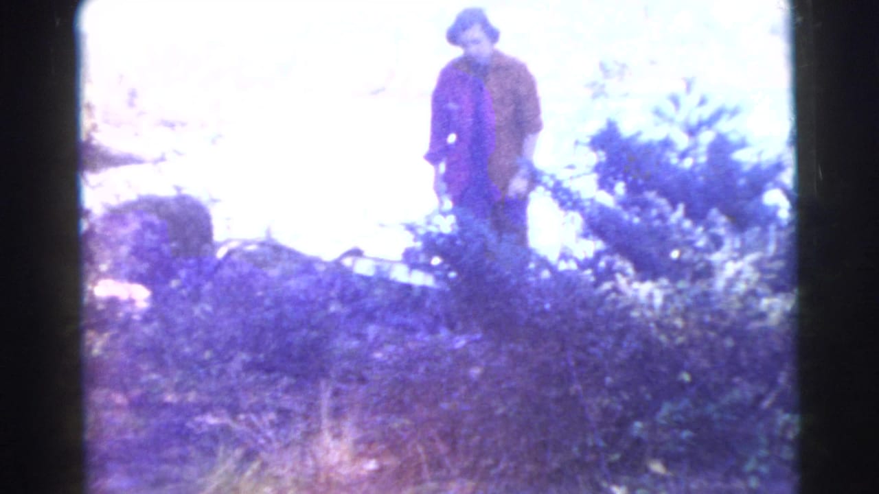 Woman stands or walks through brush near a wooded lakeside area.