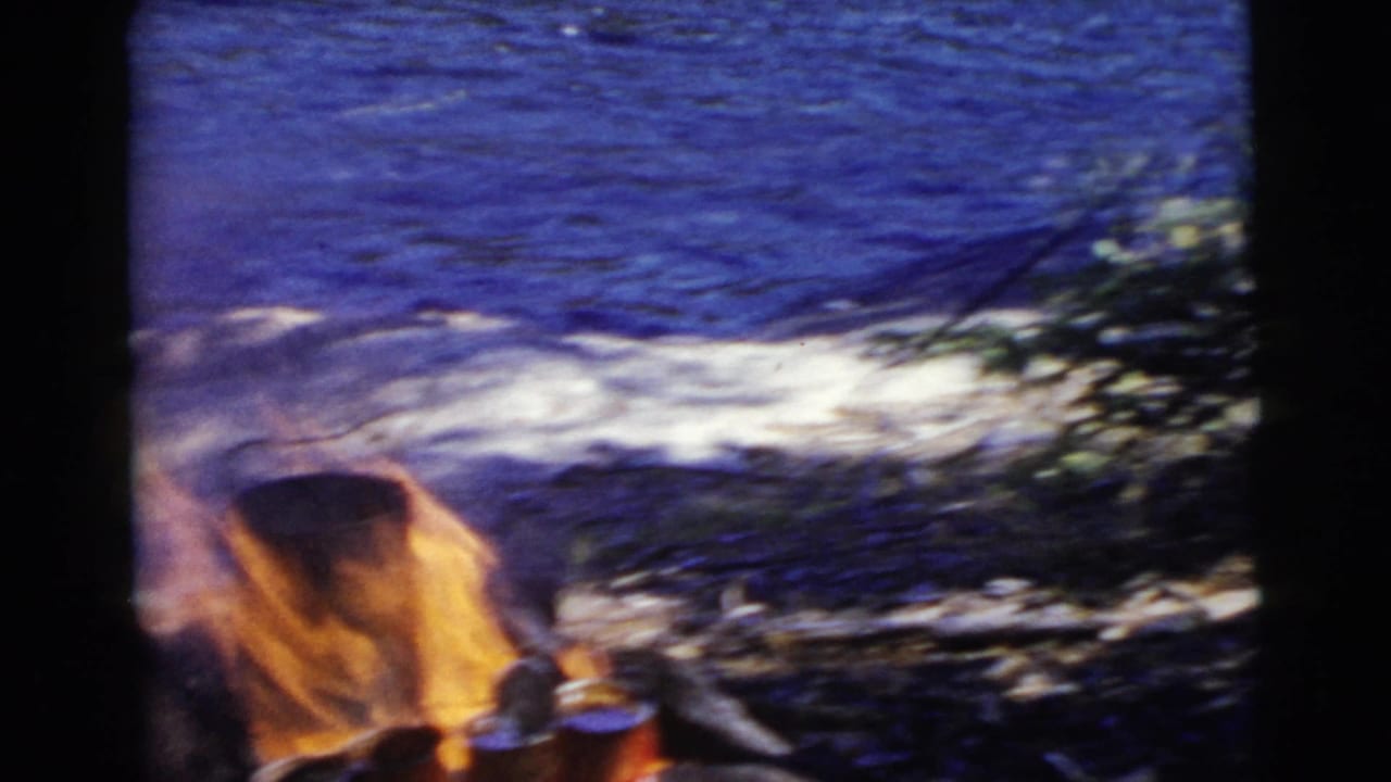 Campfire flames burn beside a lake with shoreline brush nearby.