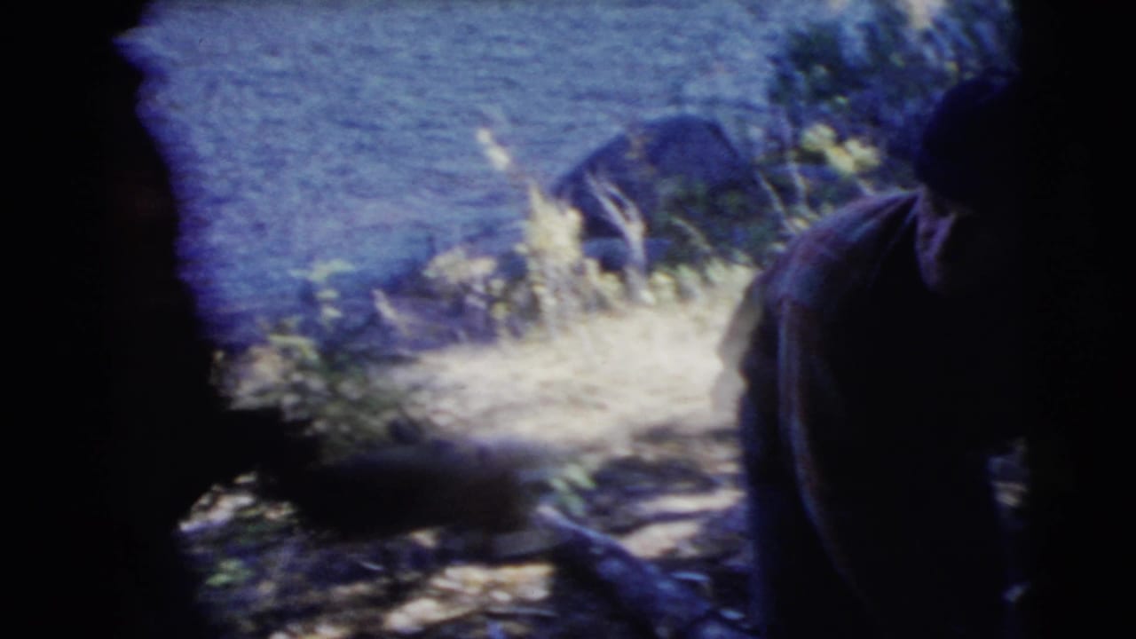 Shaded riverbank with water, rocks, plants, and a partially visible adult at the right edge.