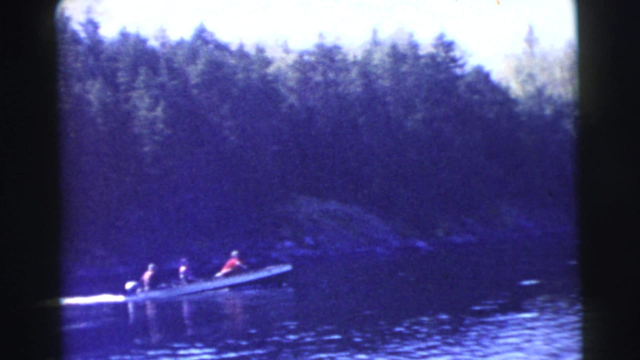 Group in a small boat traveling past a forested shoreline.