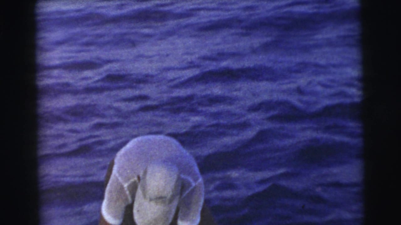 Person in a light shirt leans near the edge of a boat with blue ocean water behind them.