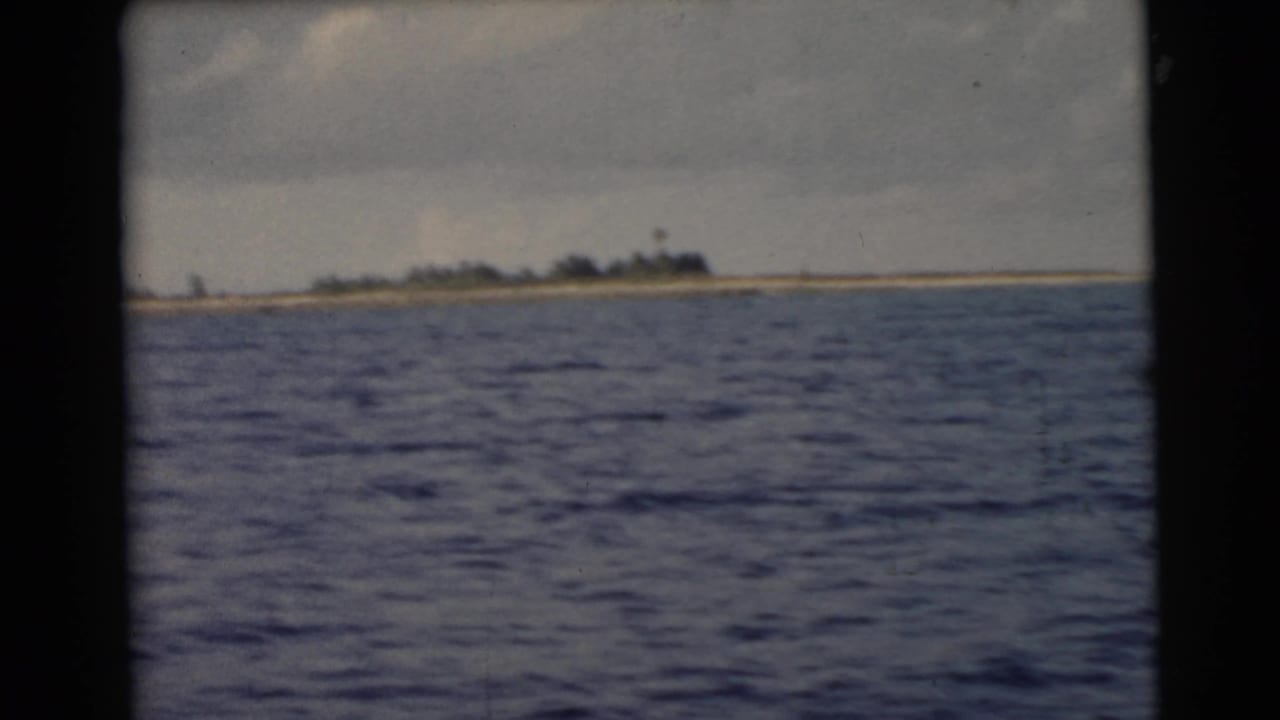 Open water fills the foreground with a low shoreline and trees in the distance.