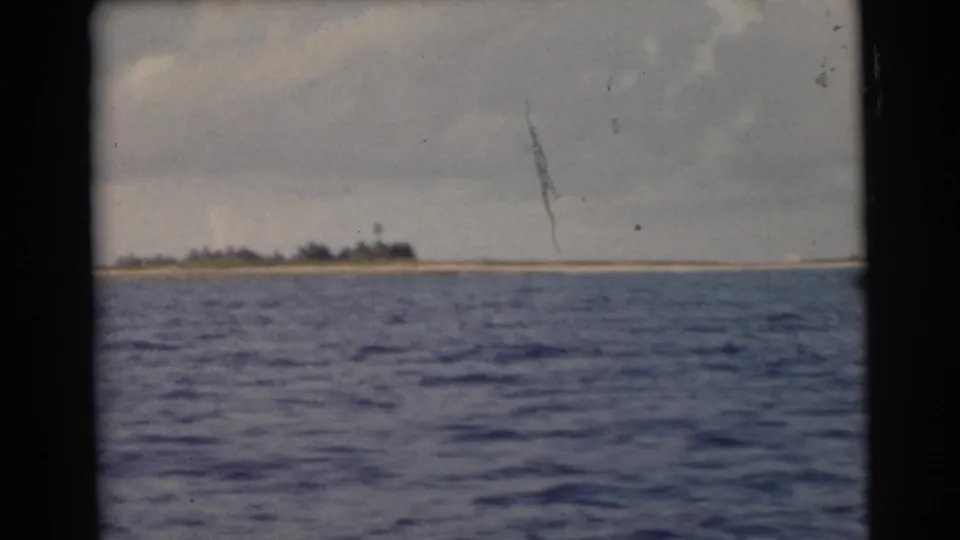 1956 Miami-area 8mm frame of blue water and a distant coastal tree line, with scratches and soft color from the film scan.