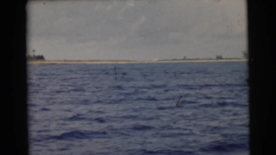 1956 Miami-area coastal view from a moving boat, with open water leading to a narrow shoreline and scattered trees.