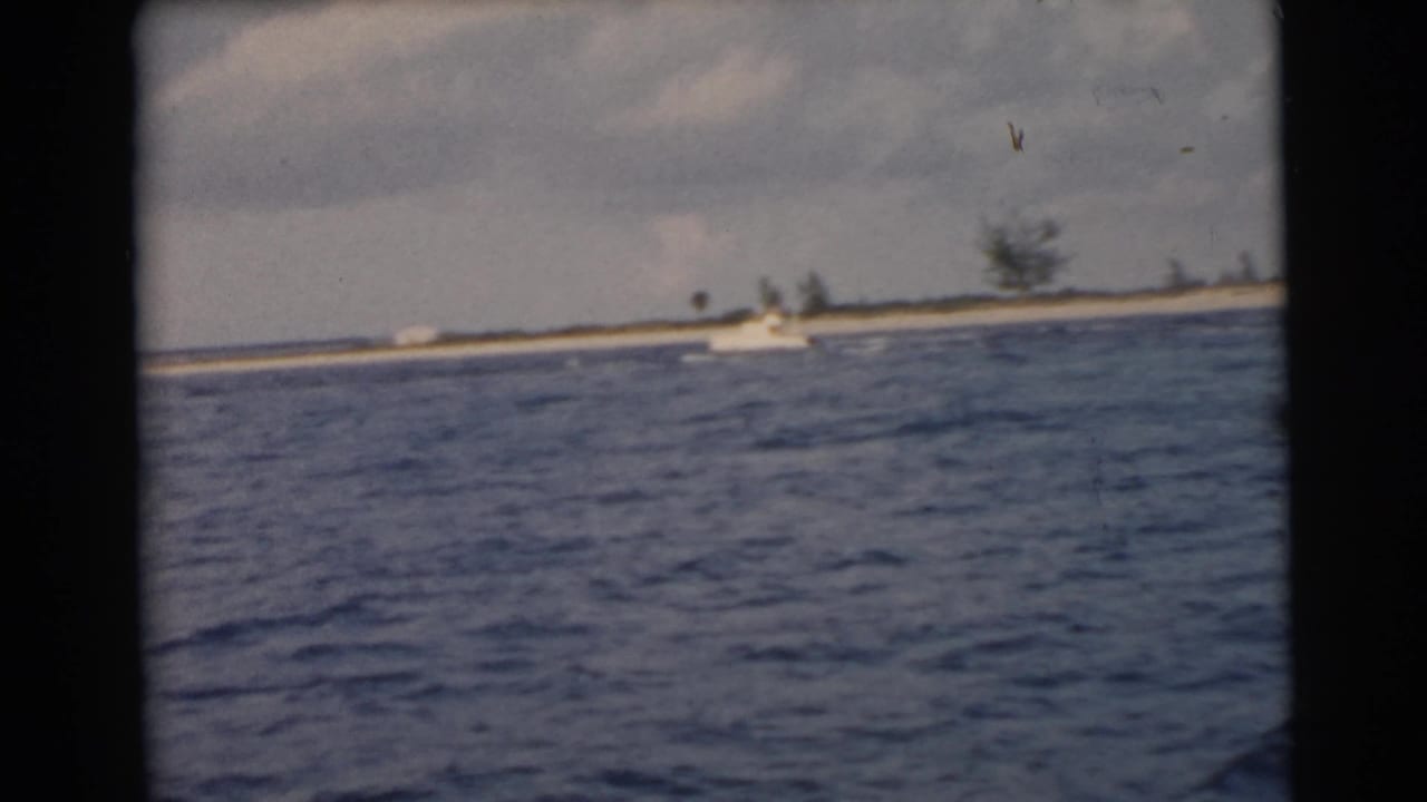 Blue water and a distant sandy shoreline with sparse trees under a pale sky.