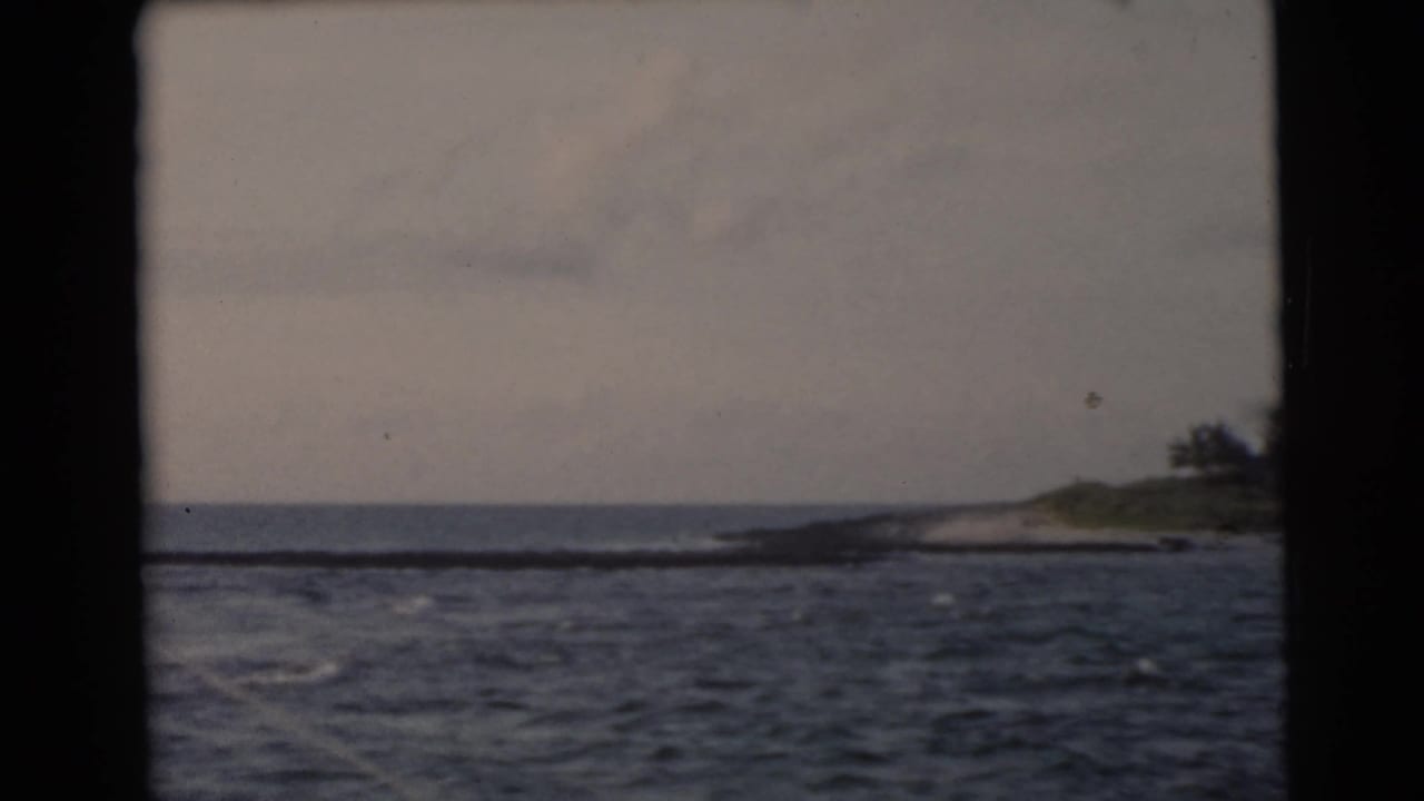 Open water with a low shoreline and trees seen through dark frame edges.