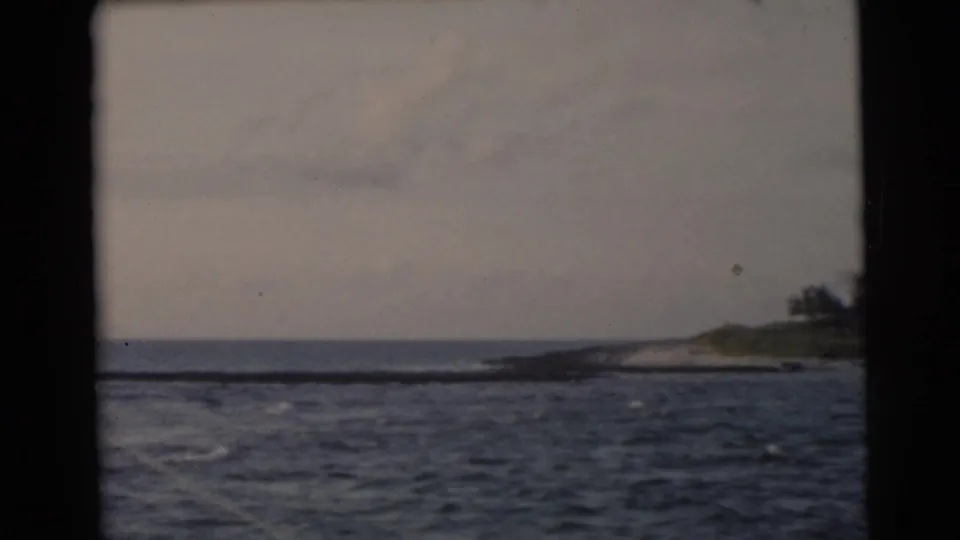1956 Miami-area 8mm view of ocean water and a low palm-lined shore from a moving boat.