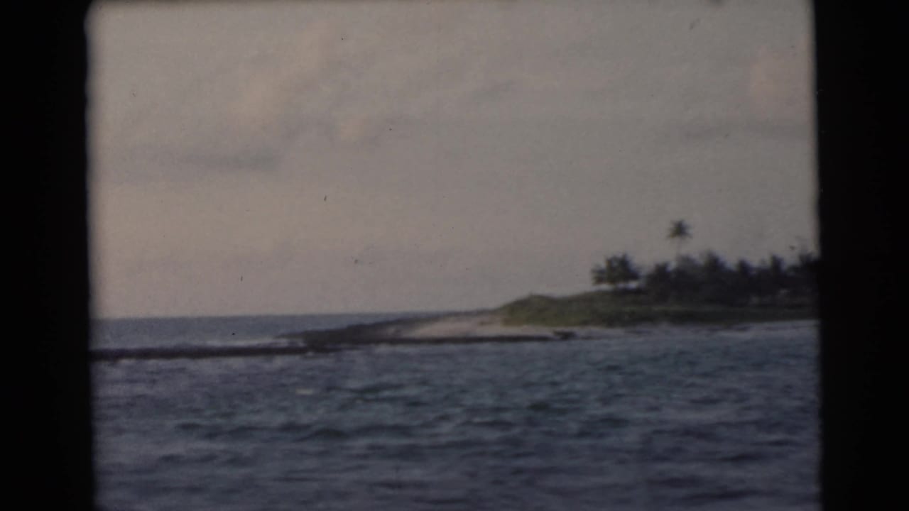 Distant palm-lined shore beyond ocean swells under a cloudy sky.