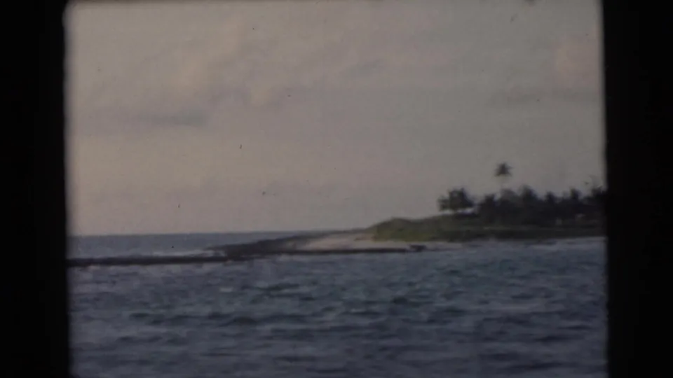 1956 Miami-area shoreline with palms and low land viewed across rippled ocean water.
