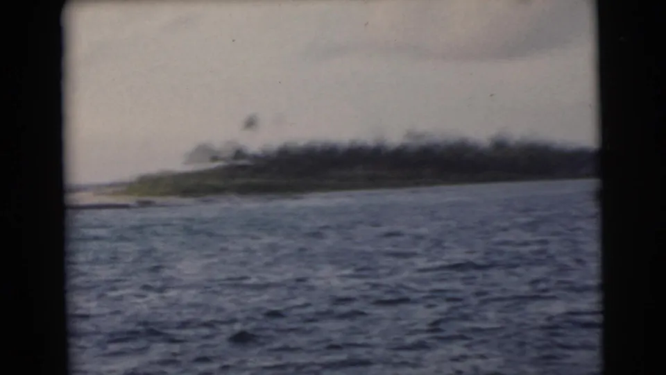 1956 Miami-area boat view of rippled ocean leading toward a palm-fringed low shore.