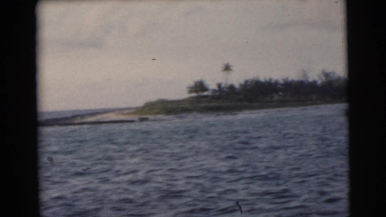 Choppy water with a low palm-lined shore under a cloudy sky.