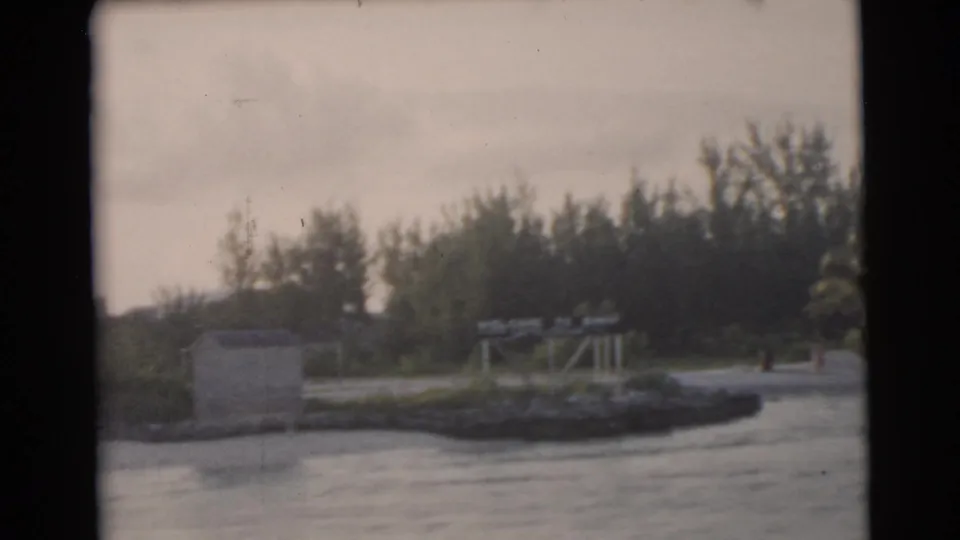 Miami shoreline view from the boat, showing water in the foreground, a rocky edge, dense trees, palms, and a small waterfront structure.