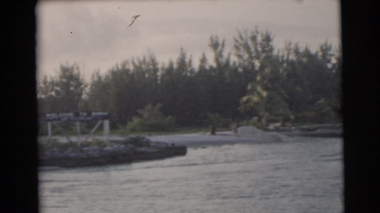 Boat-level view of water, a dock edge, sandy shore, trees, and distant figures.