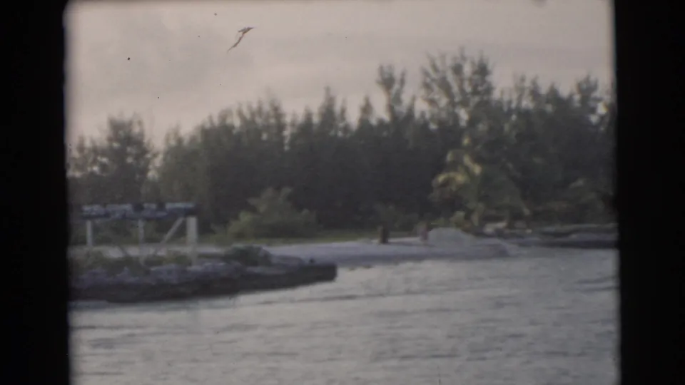 1956 Miami home-movie frame from the water showing a low dock or shoreline edge, sandy beach, dense trees, and small distant figures.