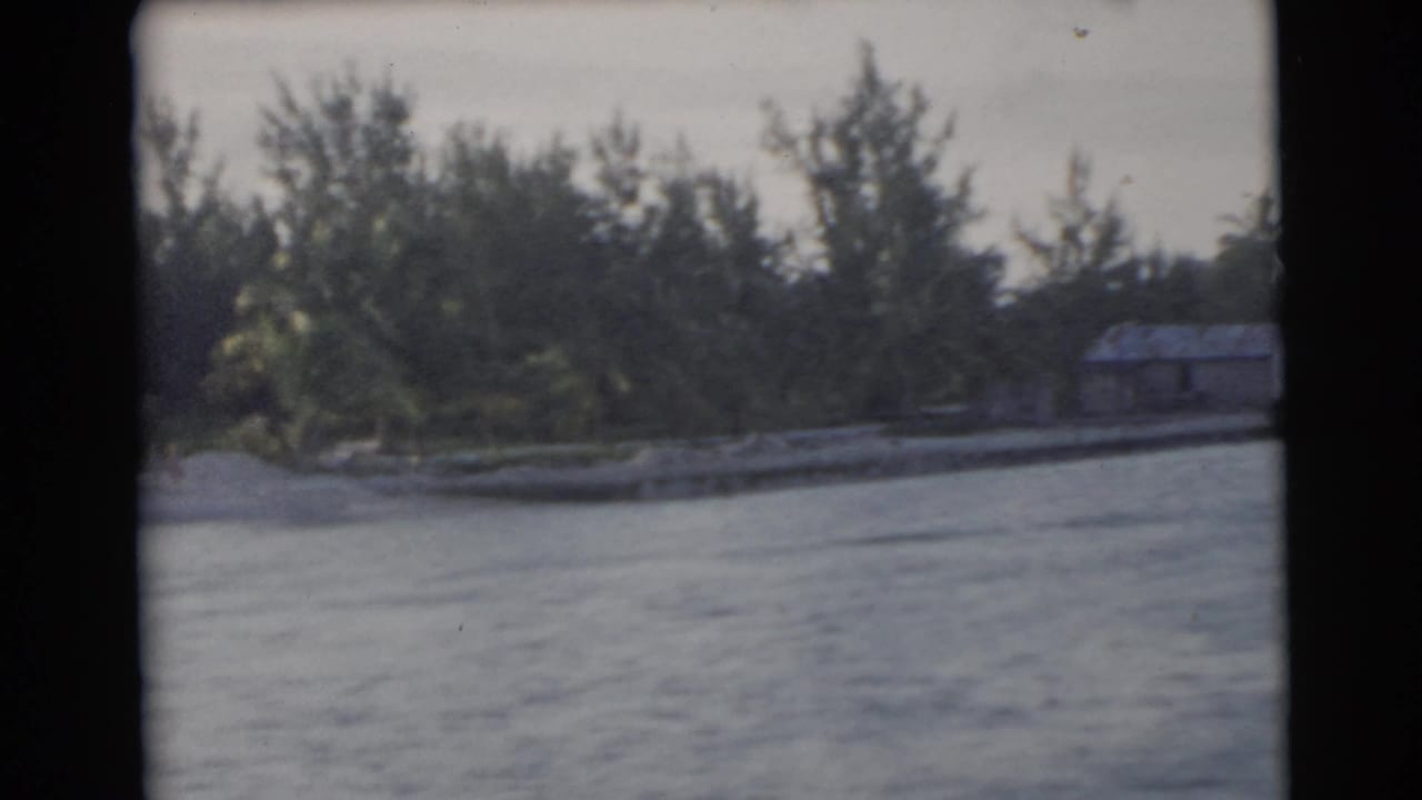 Waterfront with rippled water, tree-lined shore, sandy bank, and a small roofed structure.