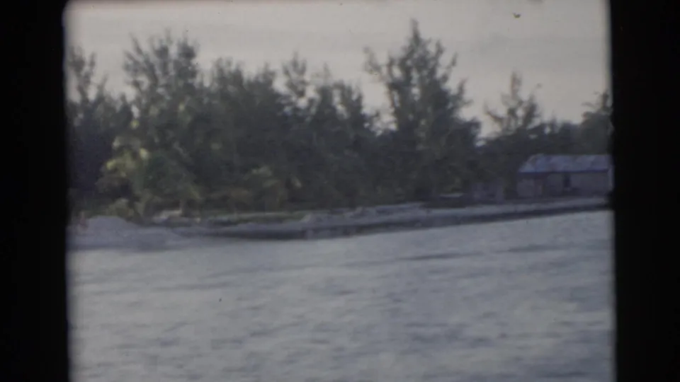 1956 Miami waterfront frame showing calm water in the foreground, a sandy shoreline, palms or coastal trees, and a small roofed structure at right.