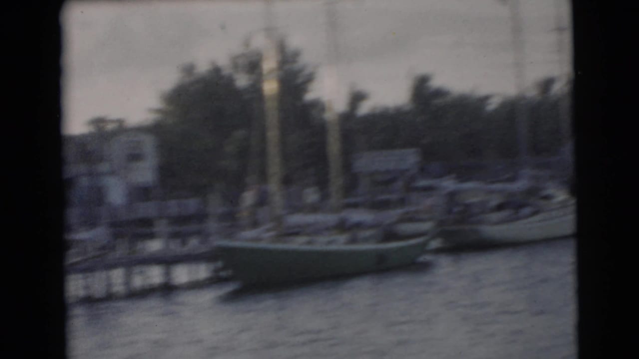 Sailboats moored beside a waterfront dock with palm trees behind them.