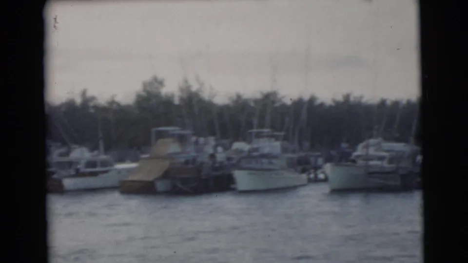 1956 Miami marina view with sailboat masts, small motorboats, a wooden pier, and a palm-lined shoreline.