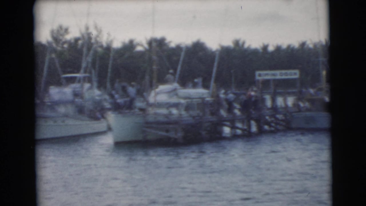 Crowded marina pier with boats, water, and a Bimini Dock sign in the background.