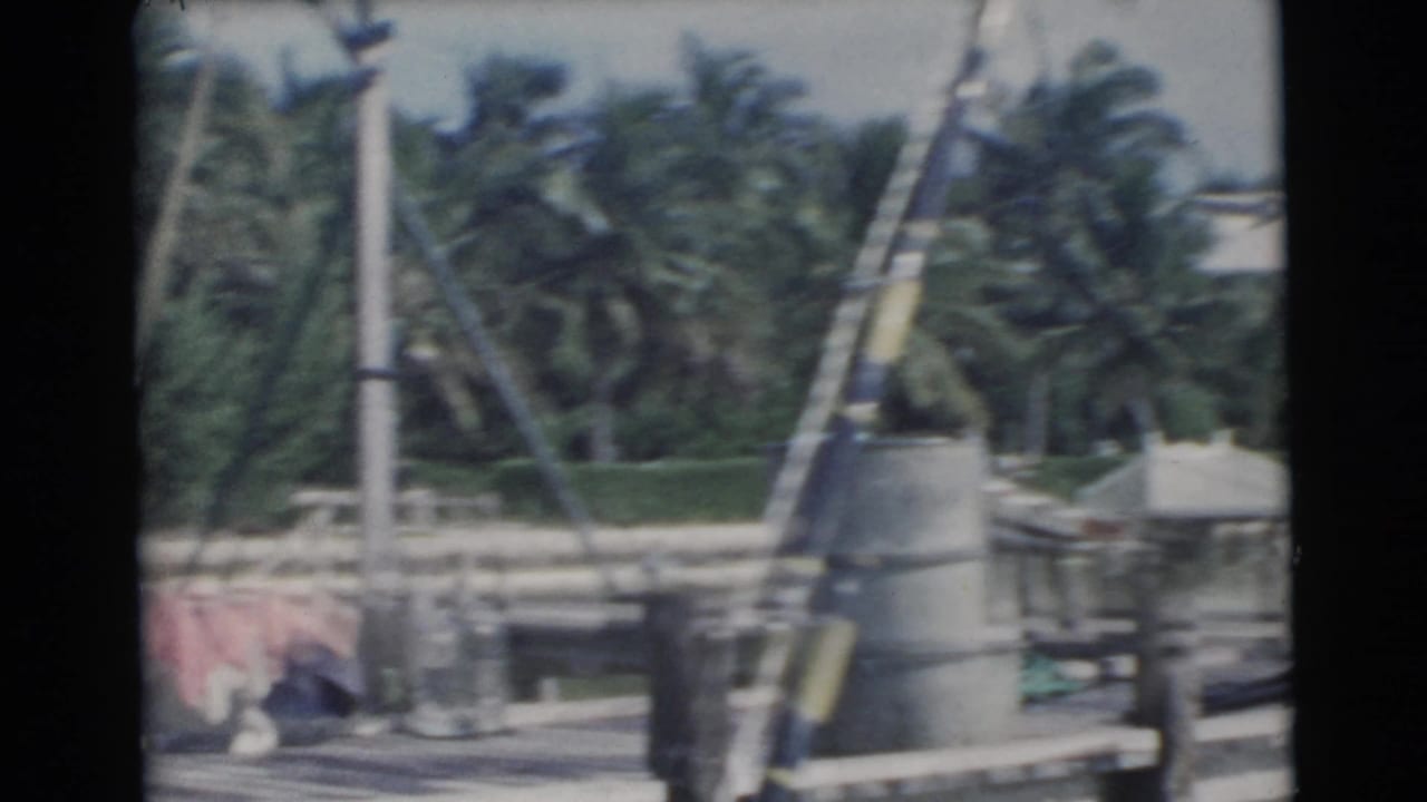 Wooden dock with palm trees, striped poles, barrel and fishing gear in soft 8mm color.