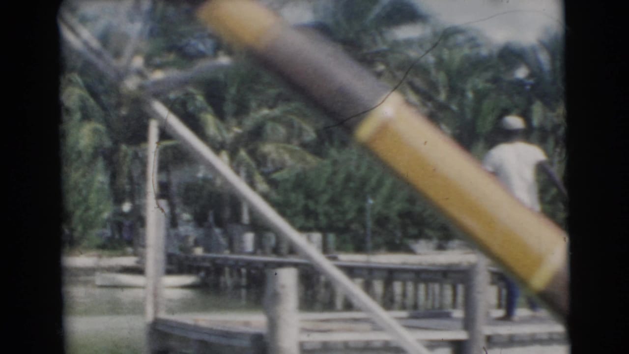 Dock railing and palm-lined waterfront with a person near boating equipment.