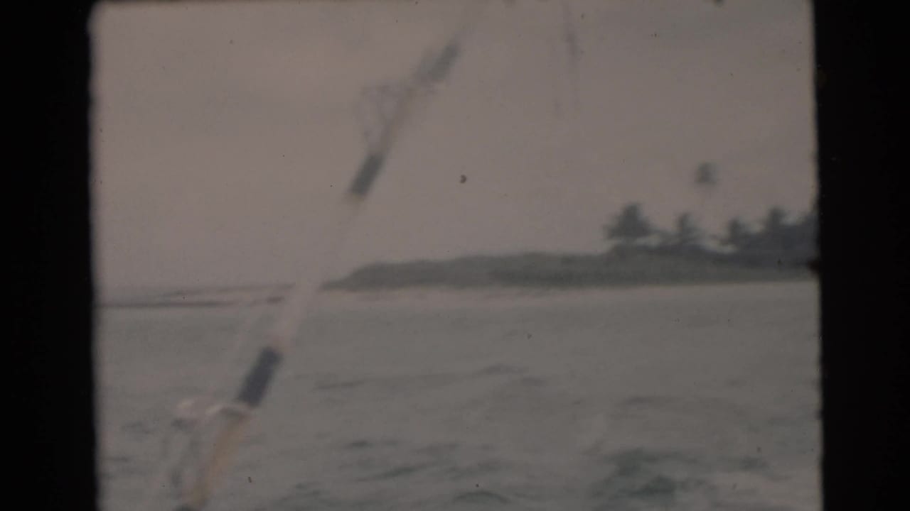 Waterway with distant palm-lined shore seen through a boat windscreen or edge.