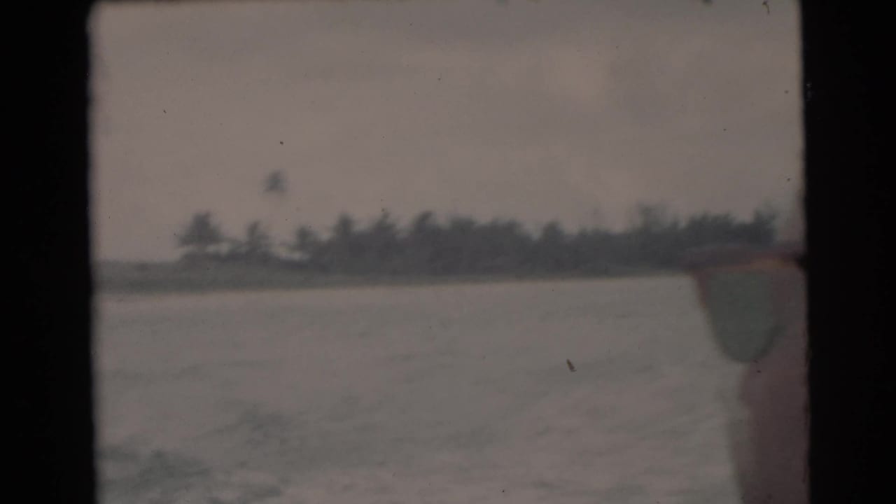 Open water and distant palm trees with a colored boat edge at the right.