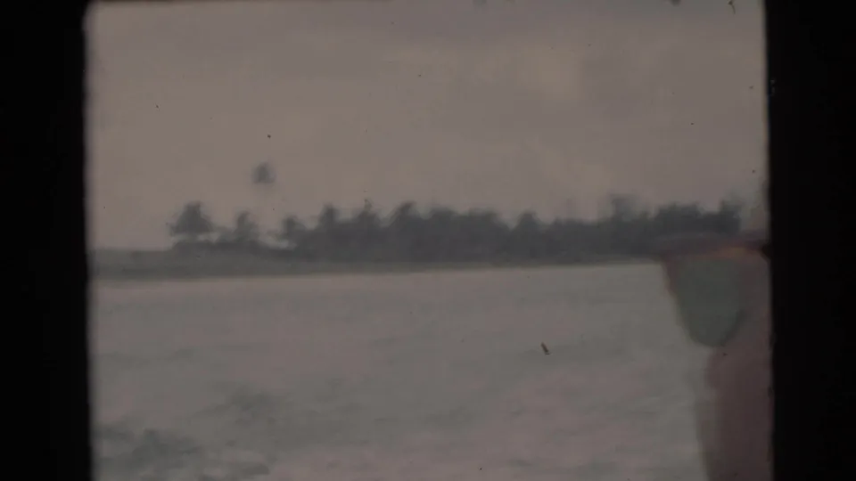 1956 Miami waterway view with palm trees along the horizon and a partial colored edge of the boat visible at right.