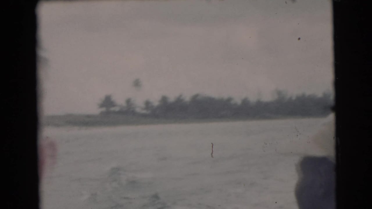Soft view across river water toward a distant tree-lined shoreline.