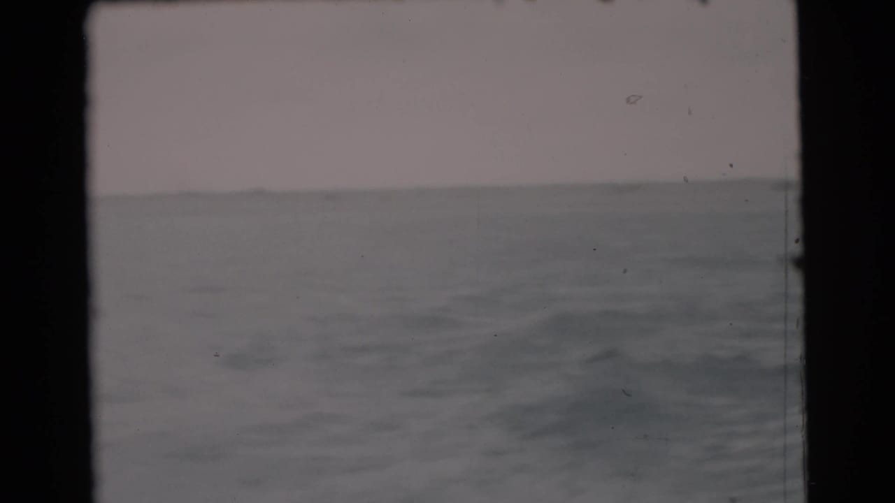 A soft 1956 Miami-area water view with a low distant horizon, muted color, and visible 8mm film texture.